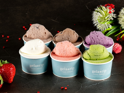 ジェラートファクトリー セット　gelato factory ヨコスカジェラートファクトリー:YOKOSUKA GELATO FACTORY